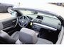 BMW 1-Serie Cabrio 120i Executive | BTW AUTO | Cruise control | Lichtmetaal | Lederen bekleding | Nette kap | Onderhouden auto