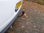 Citroën C3 1.2 VTi Tendance