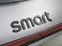 smart #1 BRABUS 66 kWh MY2027 | Head-up display | Warmtepomp | Memorypakket voorstoelen | 360° camera | Panoramadak | Adapt. cruise control  |
