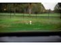 Volkswagen Passat Variant 1.5 eTSI MHEV Elegance , HUD, Stoel/stuurverwarming, Achteruitrijcamera, Apple Carplay,