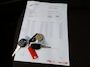 Hyundai Atos 1.1i Active Young ( INRUIL MOGELIJK )