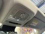 MG MG ZS EV Luxury 45 kWh | SOH 88% | PANO | CAMERA | LEER