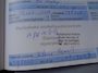 Peugeot 208 1.2 VTi Envy,Navi,Cruise,5drs,Trekhaak,Nette auto!