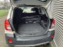 Opel Antara Grijs kenteken