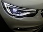 Opel Grandland X 1.2 Turbo Business Executive |Elektrische achterklep