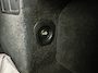 BMW X6 M Competition Pano| Bowers&Wilkins