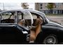 Jaguar 340 