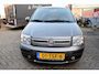 Fiat Panda 1.2 Edizione Cool