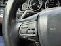 BMW 5-Serie Touring 520i 184pk Aut. Executive/Leder/Trekhaak/Cruise/Led-Xenon/18"