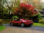 Ferrari 348 TS | Manual | Dutch car | Recent service | Top condition