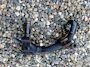 Mazda CX-5 2.0 SkyActiv-G 165 GT Automaat * Leder * Trekhaak *