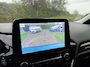 Ford Fiesta 1.0 EcoBoost Titanium-NL auto-BTW-Camera-Navi-B&O-