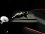 Volkswagen Up! 1.0 GROOVE UP! CRUISE NAVI PDC ACHTER